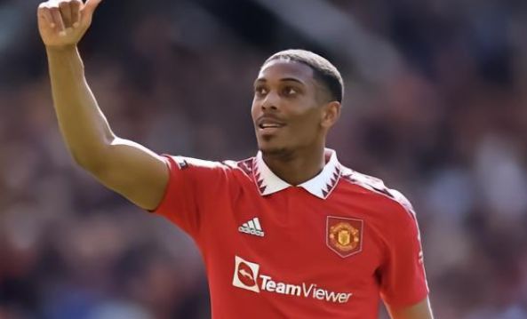 显著提高了 显著提高了